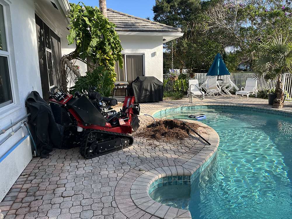 Professional Tree Service in Jupiter, FL – Expert Tree Care & Removal