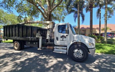 Celebrating 80+ Google Five-Star Reviews: Thank You for Trusting Dixie Tree Services