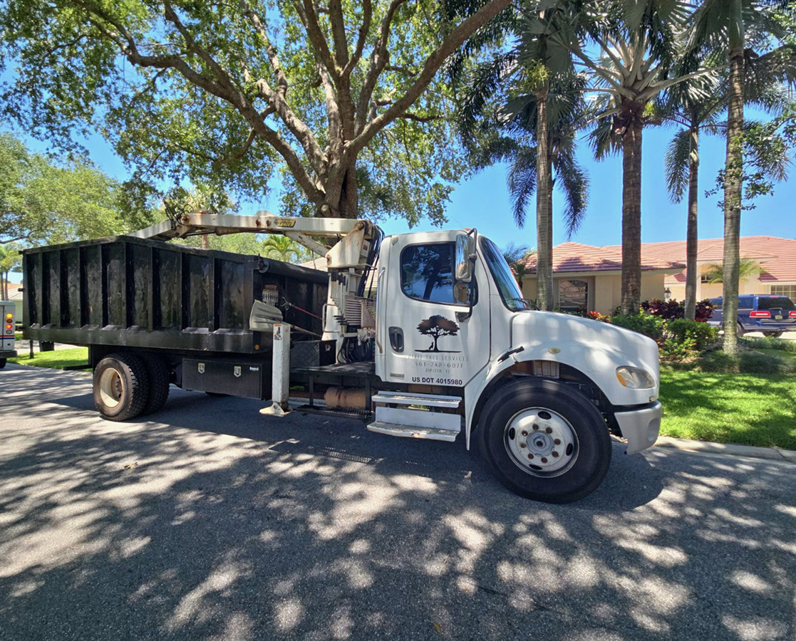 Celebrating 80+ Google Five-Star Reviews: Thank You for Trusting Dixie Tree Services