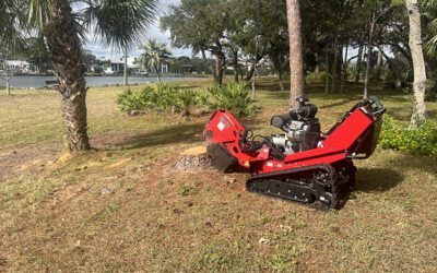 Tree Service Blogs Top 5 Reasons to Use Dixie Tree Services Instead of DIY Tree Removal