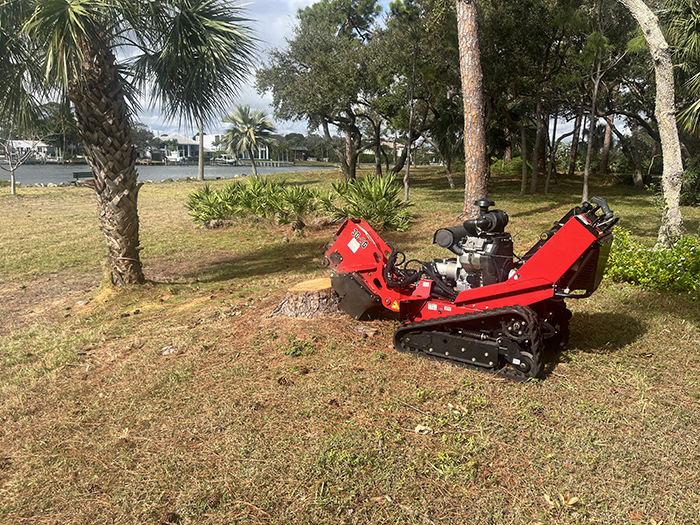 Top 5 Reasons to Use Dixie Tree Services Instead of DIY Tree Removal