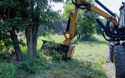 Why DIY Land Clearing Can Be Risky in Florida’s Ecosystem