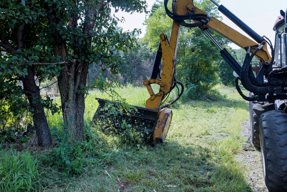 Why DIY Land Clearing Can Be Risky in Florida’s Ecosystem