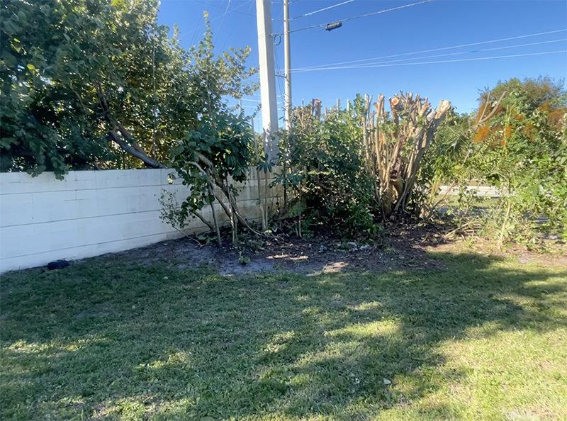 Cleanout After Recent Tree Service and Landscape Cleanup Projects