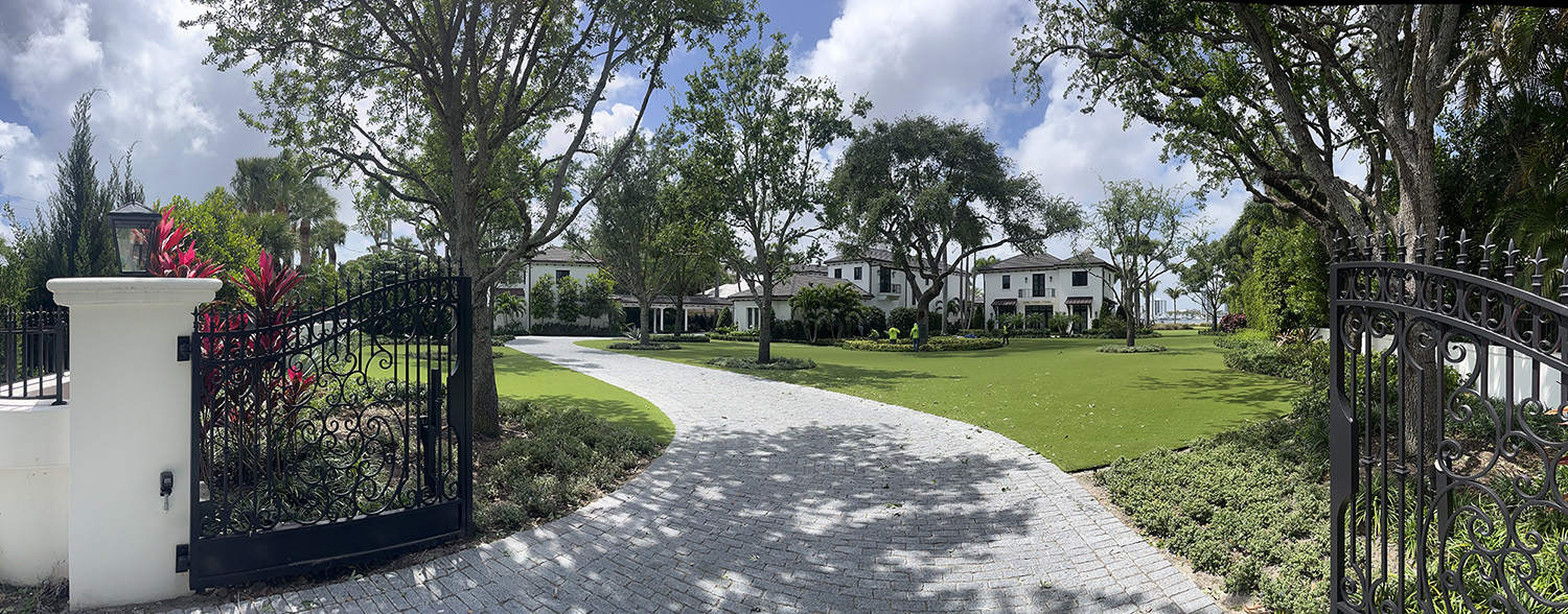 Palm Tree Trimming Services in Jupiter, Palm Beach Gardens & Nearby
