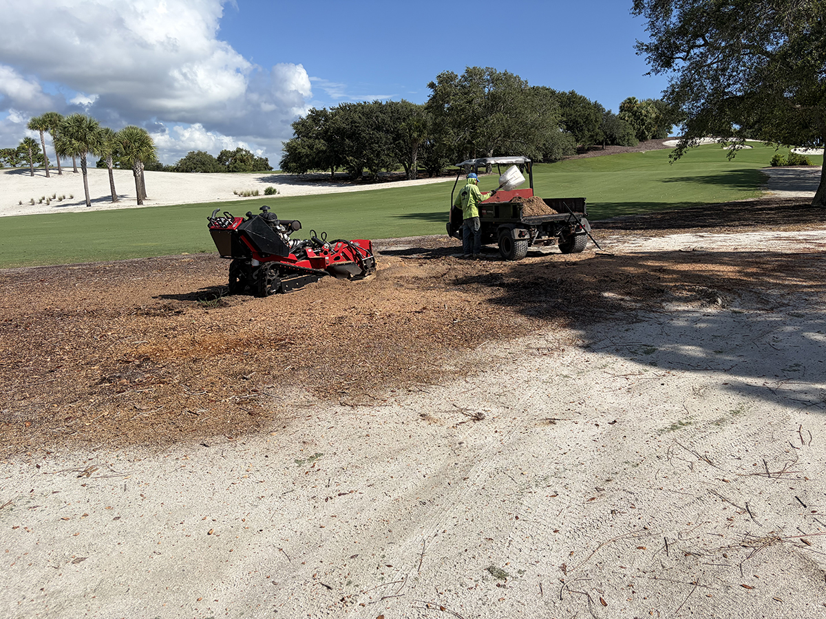 Stump grinding tequesta Tree Service in Tequesta, FL